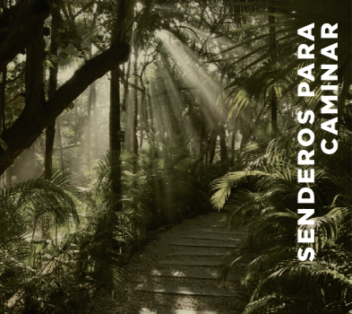 Senderos caminar